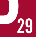 Logo P29